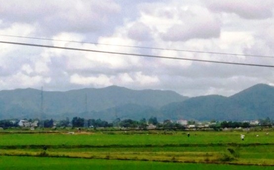 Người mẹ 4 con bị sét đánh chết khi đi làm đồng - 1 Khu vực cánh đồng Hương Cần nơi chị P. bị sét đánh tử vong