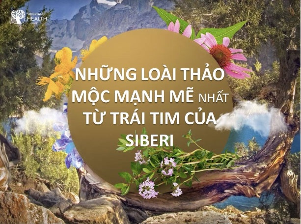 Những chất độc bạn có thể vô tình đưa vào cơ thể hàng ngày - 5