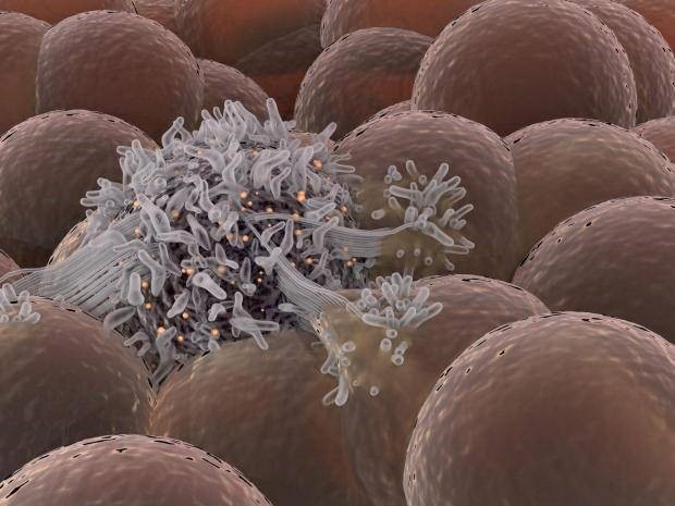 Robot siêu nhỏ có thể được chèn vào cơ thể con người để chống lại ung thư - 1
Các nanorobots có khả năng phân huỷ sinh học có thể cho phép bác sĩ chẩn đoán bệnh và phân phối thuốc.