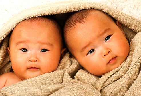Những điều cần biết về đa thai - 1 Những điều cần biết về đa thai - 1