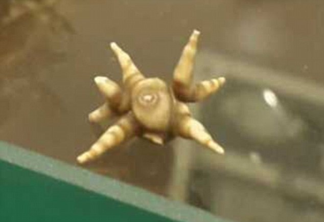 
Bức ảnh này đăng tải trên website của 1 bác sĩ, người luôn muốn chia sẻ những hình ảnh y học với đồng nghiệp và các sinh viên.
