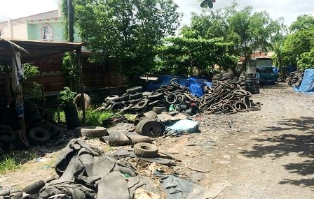 Nhiều người chết vì sốt xuất huyết, người dân vẫn thờ ơ - 1 Ô nhiễm môi trường đang tạo điều kiện thuận lợi cho muỗi phát triển