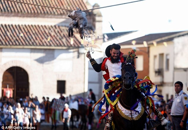 Rợn người với lễ hội "giật đứt cổ ngỗng" gây tranh cãi - 4 Họ vừa cưỡi ngựa, vừa giật đứt cổ một con ngỗng đang bị treo lơ lửng trên cao