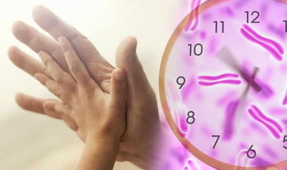 Bí mật của sự sống vĩnh cửu - 1 Bí mật của sự sống vĩnh cửu - 1