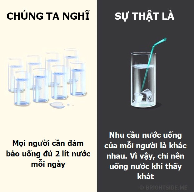 10 lầm tưởng lớn nhất về các loại đồ uống hàng ngày - 1 10 lầm tưởng lớn nhất về các loại đồ uống hàng ngày - 1