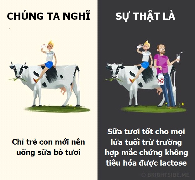 10 lầm tưởng lớn nhất về các loại đồ uống hàng ngày - 4 10 lầm tưởng lớn nhất về các loại đồ uống hàng ngày - 4