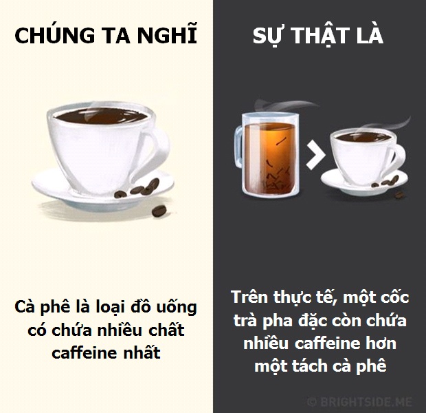 10 lầm tưởng lớn nhất về các loại đồ uống hàng ngày - 8 10 lầm tưởng lớn nhất về các loại đồ uống hàng ngày - 8