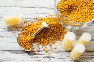 Ai "chống chỉ định" với sữa ong chúa? - 1 Ai "chống chỉ định" với sữa ong chúa? - 1