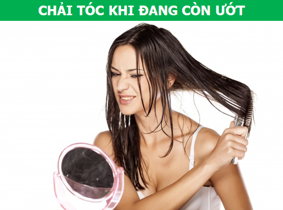Những thói quen thường gặp ở người Việt khiến tóc dễ bị hư tổn - 1 Những thói quen thường gặp ở người Việt khiến tóc dễ bị hư tổn - 1