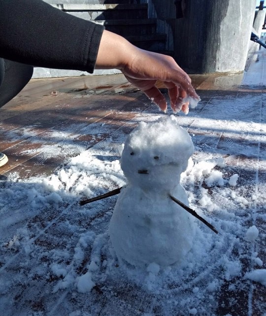 Bất ngờ cảnh sương muối phủ trắng đỉnh núi Phan Si Păng - 4