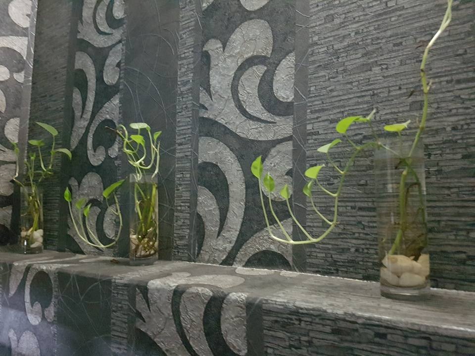 Hơn 10 lọ vạn liên thanh được trang trí như thế này tại một spa ở Hà Nội. Khi được phóng viên chia sẻ về loăng quăng, chủ nhà mới nhìn ra và tự hứa sẽ thay nước mỗi ngày. Ảnh: H.Hải
