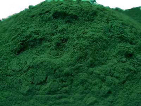 Mexico nghiên cứu thành công nhiên liệu sinh học từ tảo xoắn - 1
Tảo xoắn Spirulina platensis.