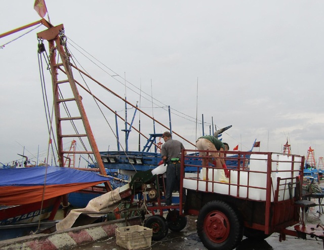 Xảy ra thiệt hại về người trong bão, người đứng đầu địa phương phải chịu trách nhiệm - 3 Ngư dân Cửa Hội (thị xã Cửa Lò, Nghệ An) vận chuyển đá lên tàu dù đang có lệnh cấm biển