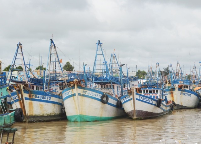 Nhiều tỉnh vẫn cấm tàu thuyền ra khơi sau bão số 16 - 2
Tàu chưa được ra khơi trở lại.