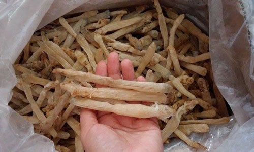 Những đặc sản được ví như “thần dược” chốn phòng the ở Việt Nam - 4 Hiện nay, 1kg sá sùng tươi có giá 200 nghìn đồng, loại khô 4 triệu đồng/kg.