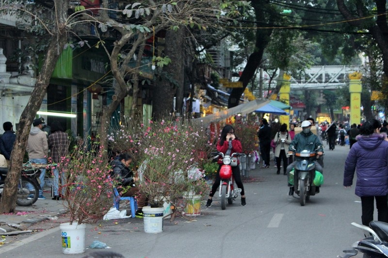 Ngắm sắc xuân về trên phố phường Hà Nội - 8
Sắc đào, sắc quất đã xuất hiện trên khắp các con phố. Do thời tiết năm nay khá khắc nghiệt nên đào nở hoa khá sớm.
