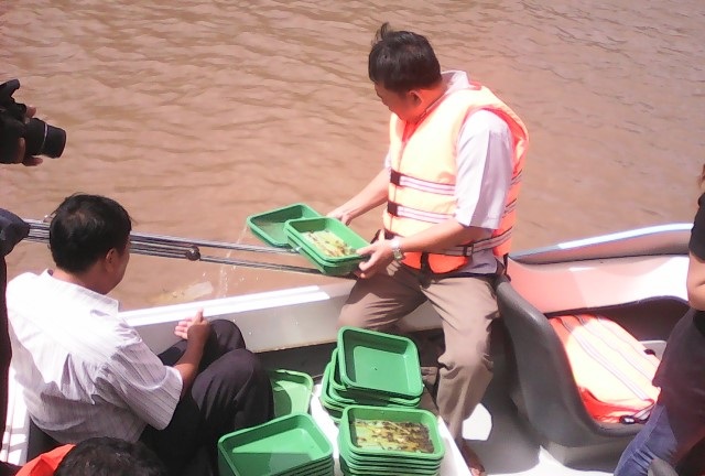 Thả hơn 1,4 triệu con giống thủy sản ra môi trường tự nhiên - 1 Thả cá, tôm giống ra môi trường tự nhiên