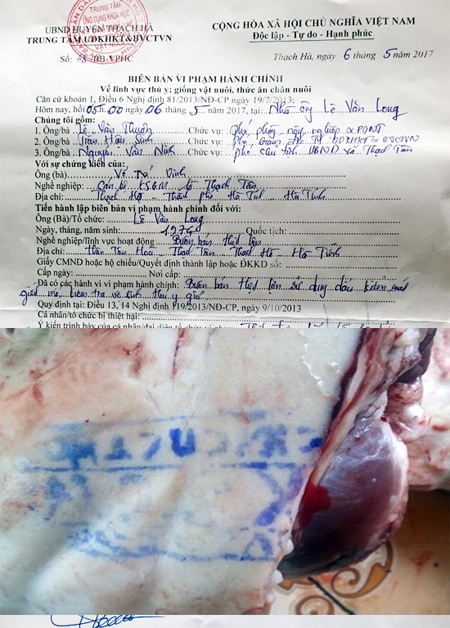 Lật tẩy “chiêu” đóng dấu kiểm soát thú y giả lên hơn 30 kg thịt lợn - 1 Toàn bộ số thịt lợn được đóng dấu kiểm soát giết mổ gia súc giả mà Phòng NN&PTNT huyện Thạch Hà phát hiện, lập biên bản xử lí. Ảnh: Thu Hồng.