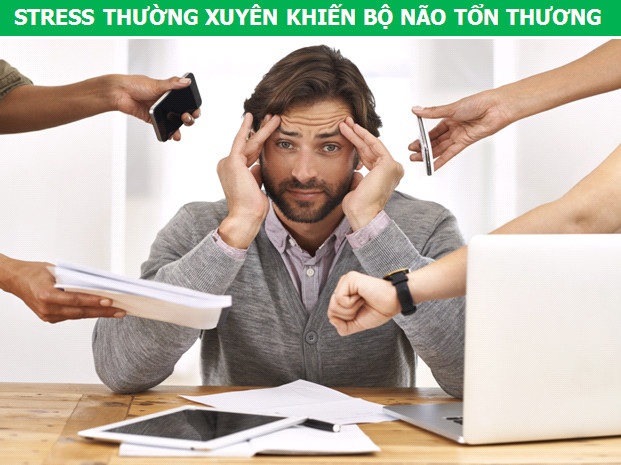 Những thói quen hàng ngày tác động thế nào đến bộ não của chúng ta - 2 Những thói quen hàng ngày tác động thế nào đến bộ não của chúng ta - 2