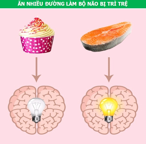 Những thói quen hàng ngày tác động thế nào đến bộ não của chúng ta - 5 Những thói quen hàng ngày tác động thế nào đến bộ não của chúng ta - 5