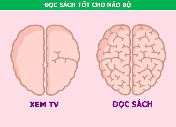 Những thói quen hàng ngày tác động thế nào đến bộ não của chúng ta - 6 Những thói quen hàng ngày tác động thế nào đến bộ não của chúng ta - 6