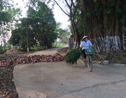 Hà Nội: Hàng loạt cựu cán bộ xã Đồng Tâm hầu toà vì “vô tư” bán đất - 1 Hàng loạt cán cựu cán bộ xã Đồng Tâm hầu toà vì vô tư bán đất khiến cho người dân địa phương bức xúc.