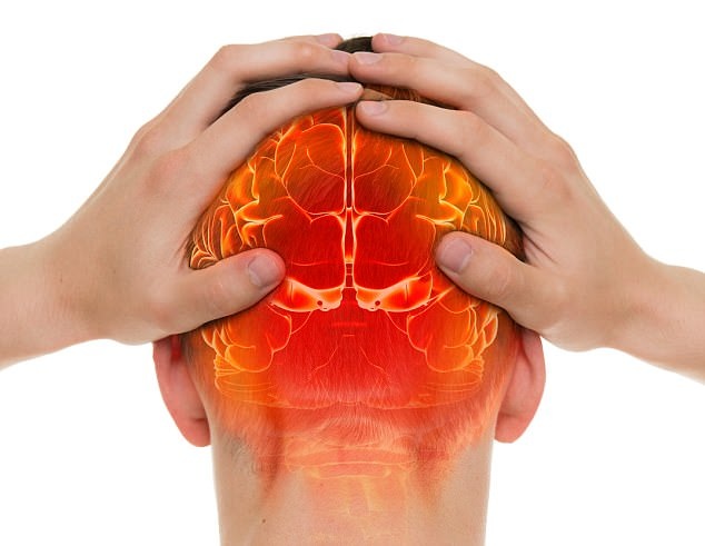 Các phát hiện gợi ý rằng con người phát triển bộ não lớn hơn là nhờ tìm kiếm thức ăn.