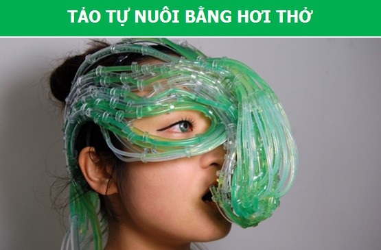 Các lại thực phẩm công nghệ cao mà chúng ta sẽ ăn trong tương lai - 4