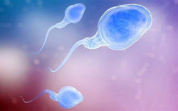Thuốc tránh thai không tác dụng phụ từ cây Nha đam - 1 Thuốc tránh thai không tác dụng phụ từ cây Nha đam - 1