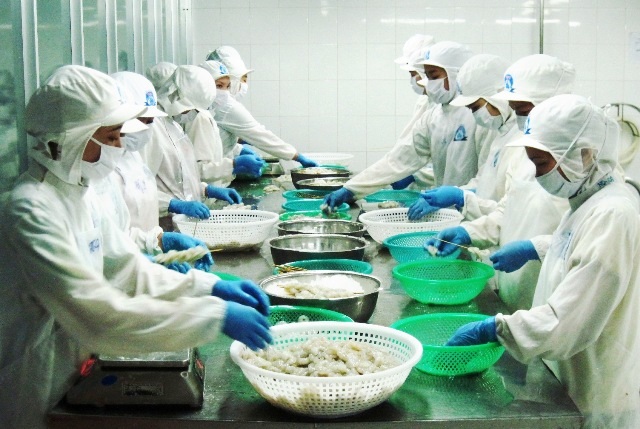 Thủ tướng: Xuất khẩu tôm phải đạt kim ngạch 10 tỷ USD trước năm 2025 - 4 Thị trường tôm còn rất lớn và đó là thời cơ cho Việt Nam phát triển mạnh lĩnh vực này. (Ảnh minh họa)