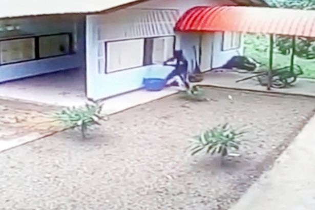 Clip: Tên trộm ngu ngốc chật vật đột nhập ga-ra mở toang hoác từ... cửa sổ - 1
Tên trộm hùng hục cạy cửa chui vào...
