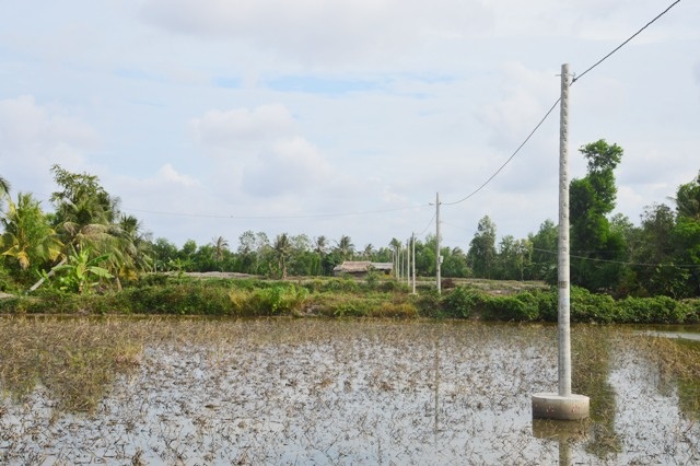 Hàng chục hộ dân chưa bao giờ biết đến ánh sáng của... đèn điện! - 6 Không hiểu sao cột điện lại kéo ra ruộng mà không đưa vào khu dân cư để phục vụ người dân.