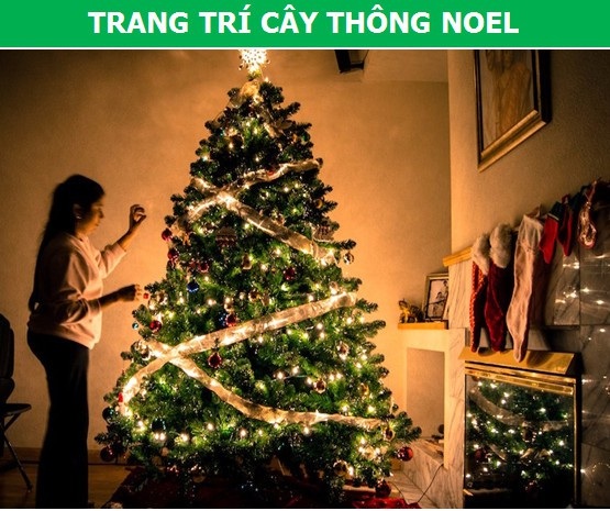 Tìm hiểu nguồn gốc lịch sử những nghi thức truyền thống ngày lễ Giáng Sinh - 3 Tìm hiểu nguồn gốc lịch sử những nghi thức truyền thống ngày lễ Giáng Sinh - 3