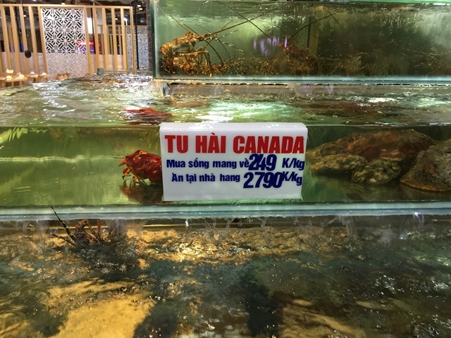 Nhà giàu Hà Nội chi chục triệu ăn cua hoàng đế, tôm hùm Mỹ - 5