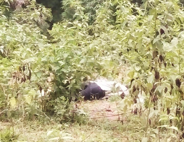 
Hiện trường phát hiện thi thể anh Lô V.V.
