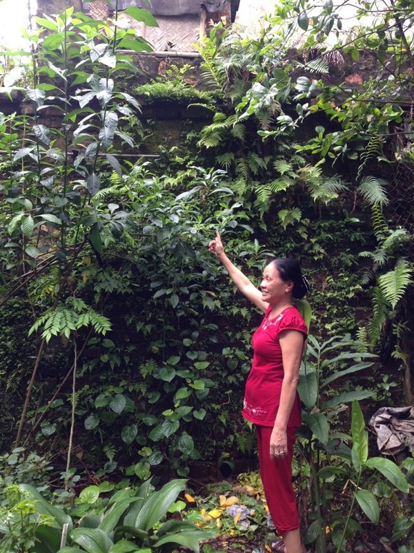 Thành cổ Nam Định hơn 200 năm tuổi đứng trước nguy cơ trở thành phế tích - 7 Bà Giang Thị Bưởi hoài niệm khi nói về ký ức về tường thành cổ Nam Định.