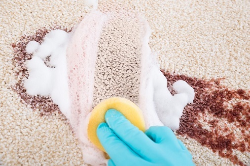 Thảm trải sàn cần được vệ sinh thường xuyên sạch sẽ