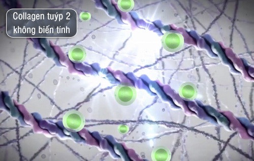 Giảm đau khớp tuỳ tiện: Hậu quả khó lường! - 1
Collagen type 2 không biến tính là dưỡng chất sinh học thế hệ mới giúp hỗ trợ điều trị bệnh khớp trúng đích, giảm đau an toàn, hiệu quả.