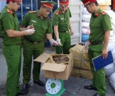 Phát hiện container có hàng trăm kg vẩy tê tê khô cất giấu lẫn với hoa hồng khô - 1 Lực lượng chức năng kiểm tra container có chứa vẩy tê tê (ảnh CTV)
