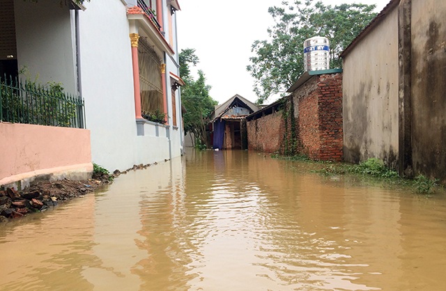 Hà Nội: Học sinh lớp 4 ngã xuống mương nước tử vong - 1 Đường làng ven đê sông Bùi 2 vẫn mênh mông biển nước