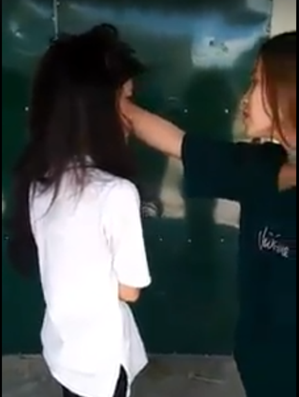 Hình ảnh Lan bị túm tóc, đánh đập. Ảnh cắt từ clip