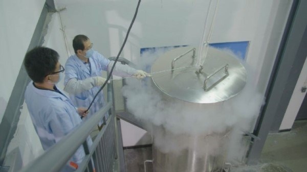 Chồng đóng băng xác vợ với hy vọng hồi sinh bằng công nghệ Trung Quốc - 1
Thi thể được ướp lạnh ở nhiệt độ -196 độ C. (Nguồn: Sina)