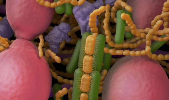 
Vi khuẩn phát triển mạnh trong miệng khô.
