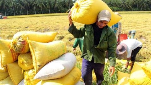 Mất vốn, âm vốn chủ sở hữu, các "ông lớn" nông nghiệp kêu khó cổ phần hóa - 2 Vinafood 2 sẽ được cổ phần hóa và tiến hành IPO trong quý II tới