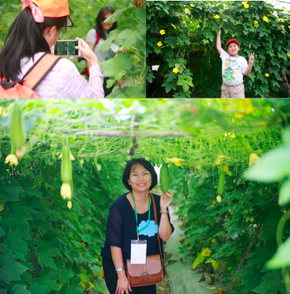 Trải nghiệm thú vị tại Nông trường VinEco Long Thành: Thì ra các nông sản sạch đã có một “hành trình” quy mô đến thế! - 2
Nhiều khách hàng may mắn được tham gia chương trình cũng rất hào hứng với các khu vườn xanh mát được trồng bằng công nghệ hiện đại này.