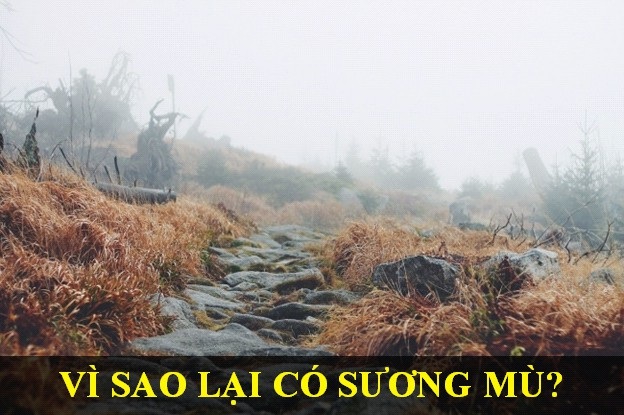 Đáp án cho những câu hỏi “Vì sao?” của con trẻ khiến người lớn cũng phải bó tay - 6 Đáp án cho những câu hỏi “Vì sao?” của con trẻ khiến người lớn cũng phải bó tay - 6