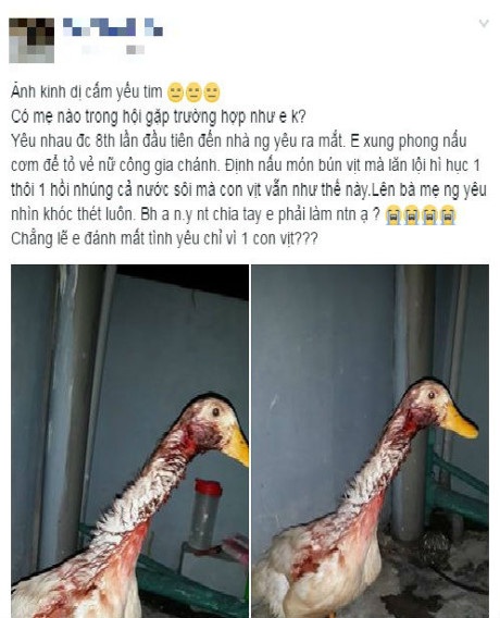 Chia sẻ lần đầu làm thịt vịt của cô gái làm dân mạng "choáng váng" - 2
Cách thịt vịt kinh dị của cô gái lần đầu làm thịt nhận được nhiều ý kiến của cộng đồng mạng.