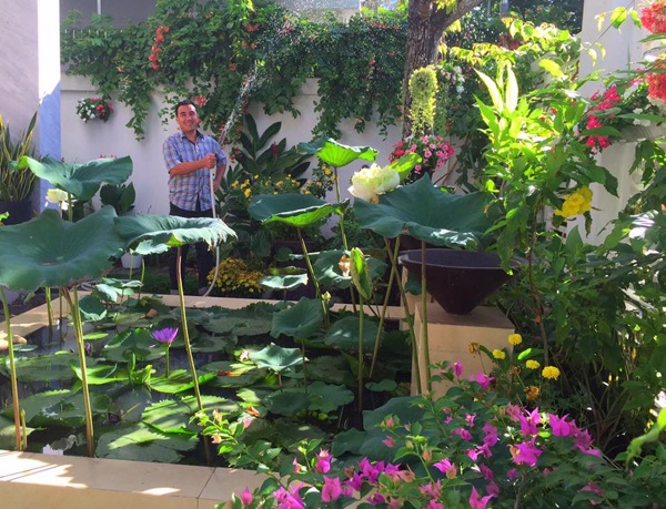 Biệt thự màu trắng của gia đình nghệ sĩ Quyền Linh nằm ở khu dân cư Phước Kiểng - Nhà Bè, TP HCM. Ngôi nhà sang trọng do chính tay Dạ Thảo, bà xã Quyền Linh, lên ý tưởng mang đến không gian sống gần gũi với thiên nhiên. Những cây cảnh, chậu hoa và bồn sen trắng tạo thành điểm nhấn cho ngôi nhà hiện đại.