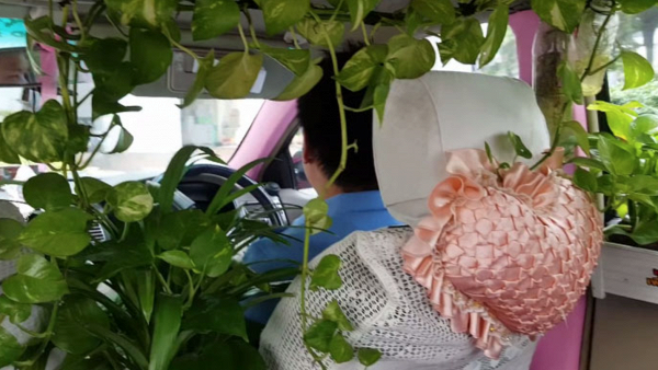 Du khách ngạc nhiên với kiểu “xe bus rừng xanh” độc đáo ở Đài Loan - 8 Taxi phủ xanh ở Bangkok, Thái Lan