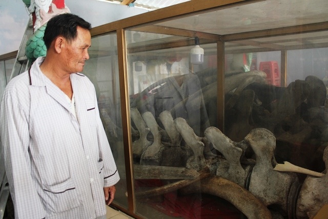 Tổ chức lễ hội Nghinh Ông Nam Hải - 1